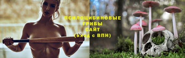 скорость Бородино