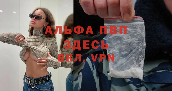 скорость Бородино