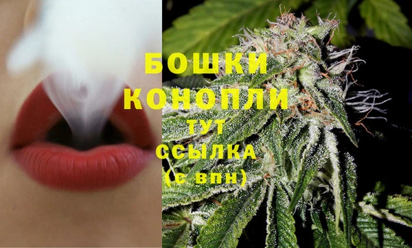 крисы Бугульма