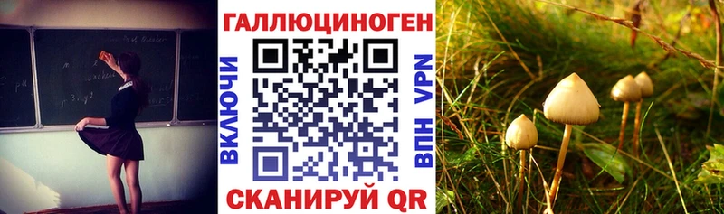 продажа наркотиков  Семёнов  MEGA ССЫЛКА  Псилоцибиновые грибы Cubensis 